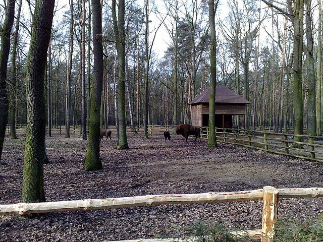 ubry