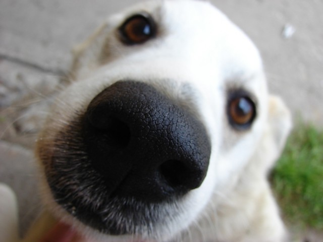 Moja :)