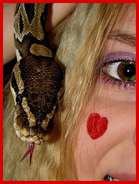 V Day
