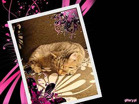 Minia :)