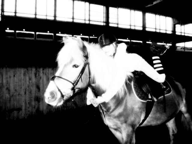 kC ;*