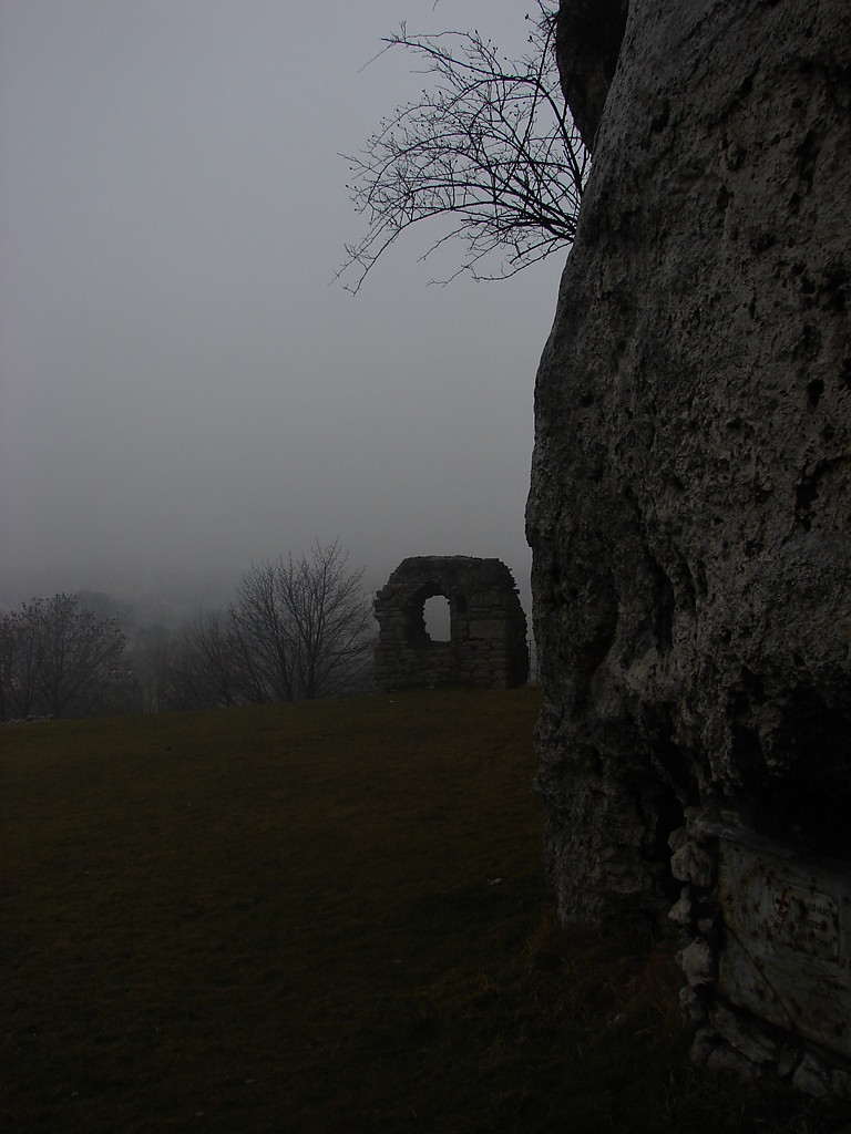 W ruinach Ogrodzieca 