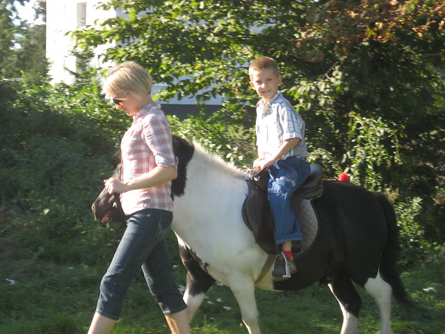 2008
