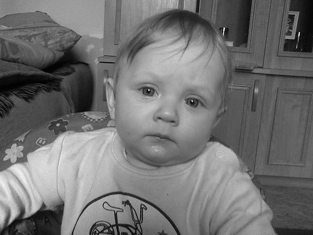 Brat