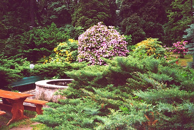 Park w Rociszowie