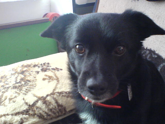 Cezarrrr  :]