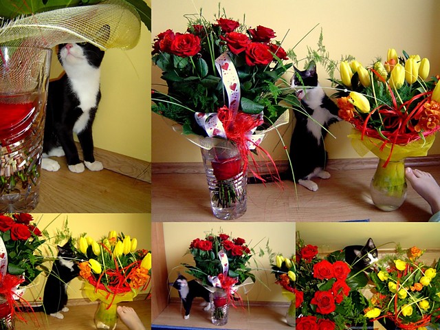 Antonin:)