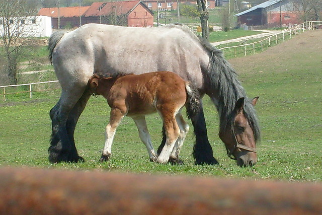 Karin :):)