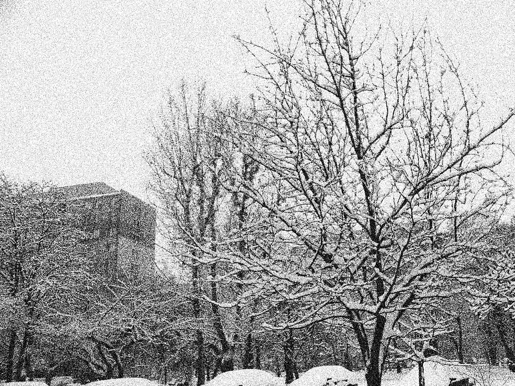 Winter