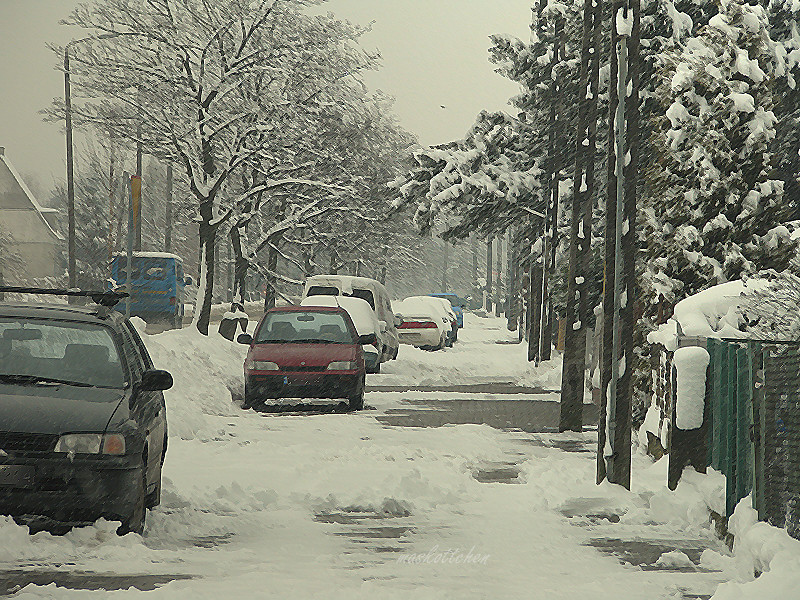 winter