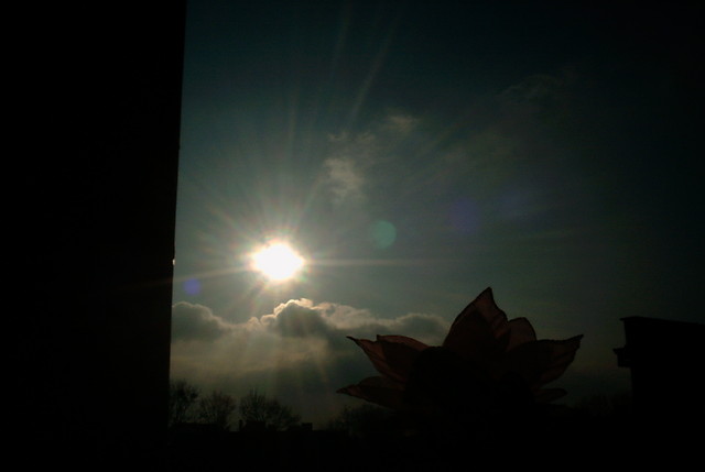 fOtOgrafIe :^^