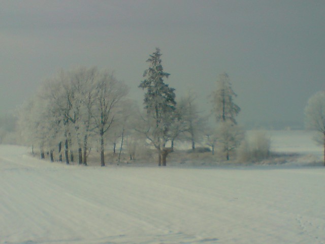 widoczek...