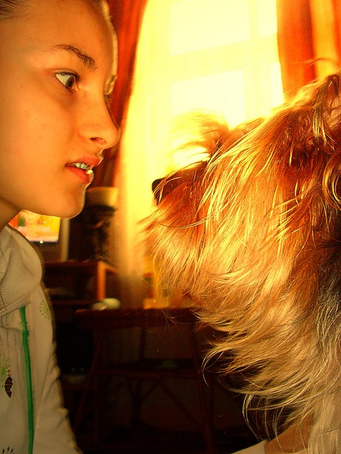 walka z moim psem