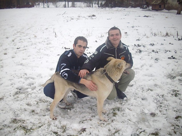 My dog...* :)