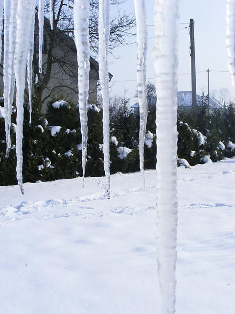 zima