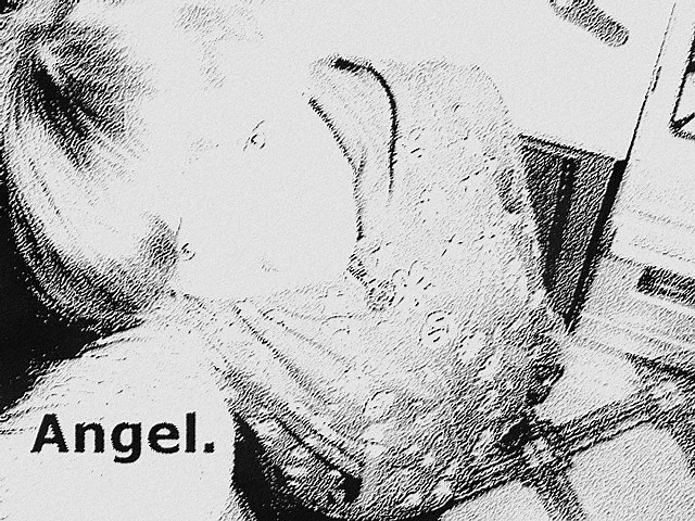 Angel.