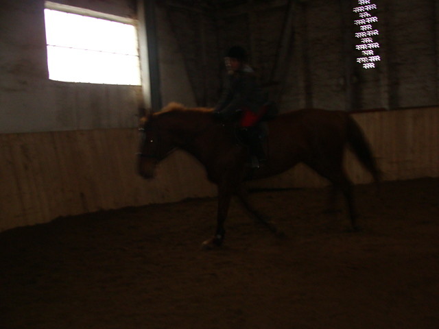 elen