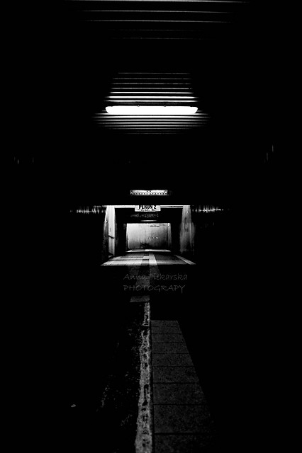system