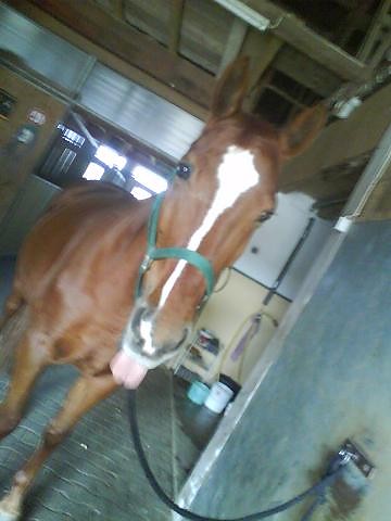 moja kochana :**