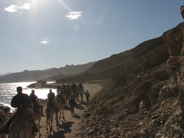 dahab