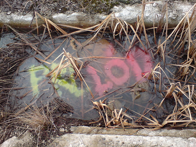 a-brzych.