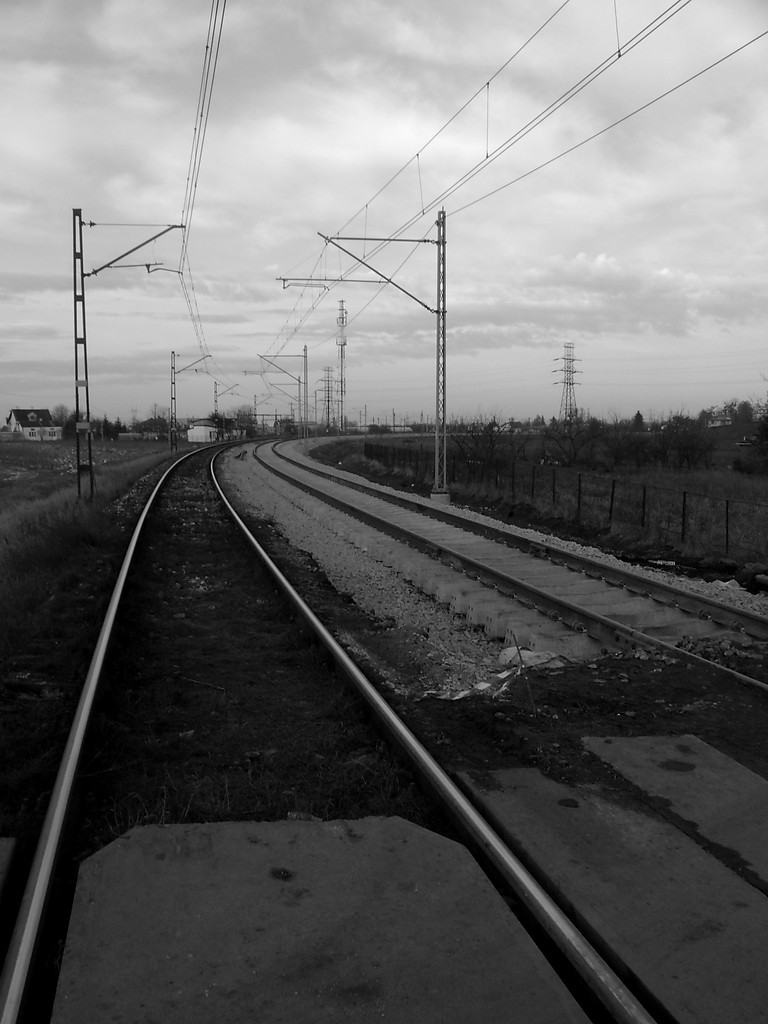 261.