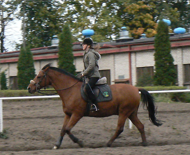 Galop!