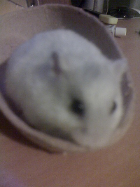 Siedzem ;] z komy wic rozmazane