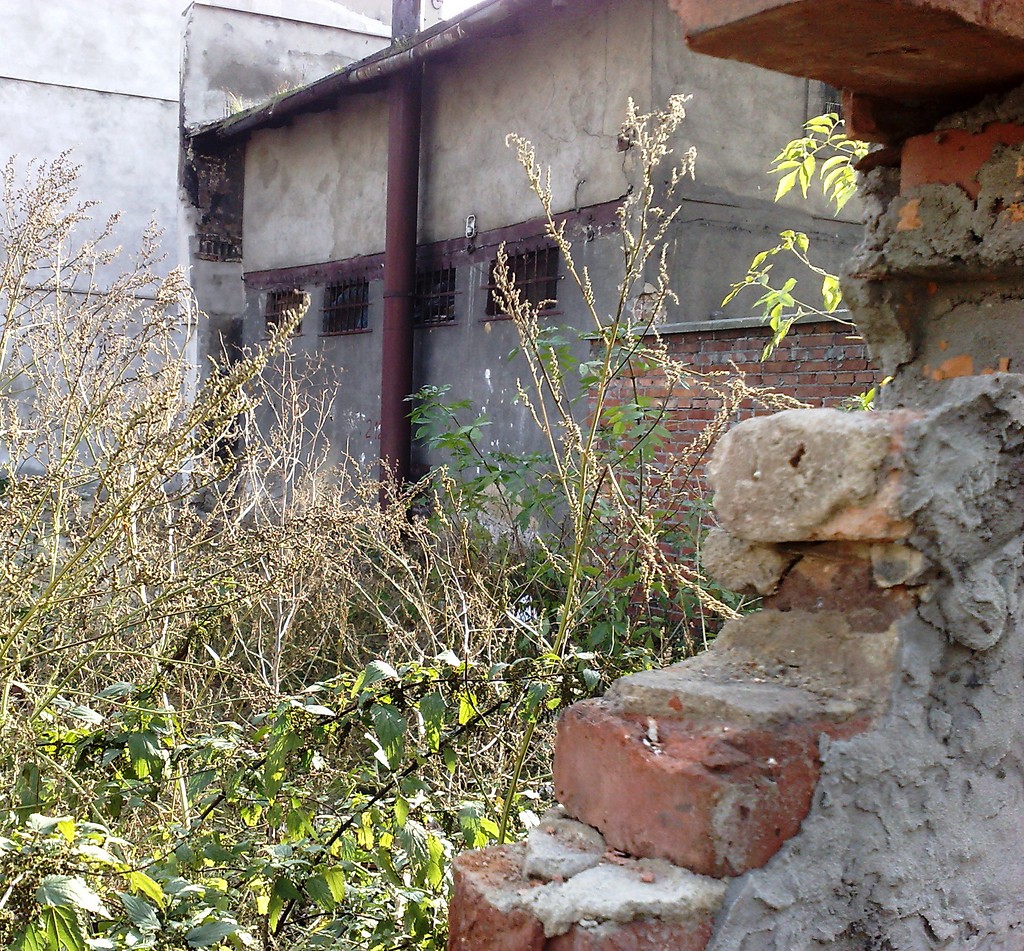 Zagadka - TRUDNA chyba?