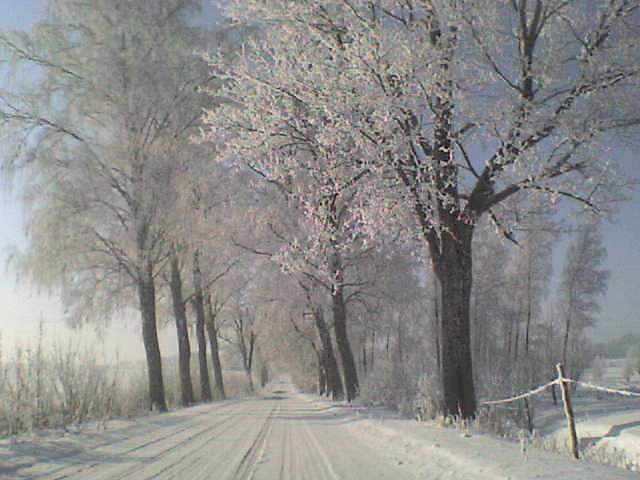 zimNo .. 