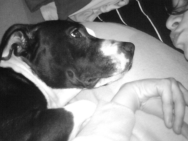 mj piez ;*