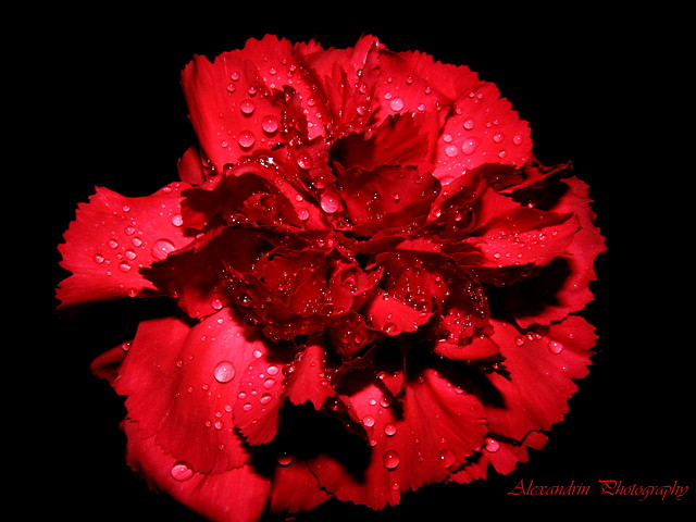 so red is amazing