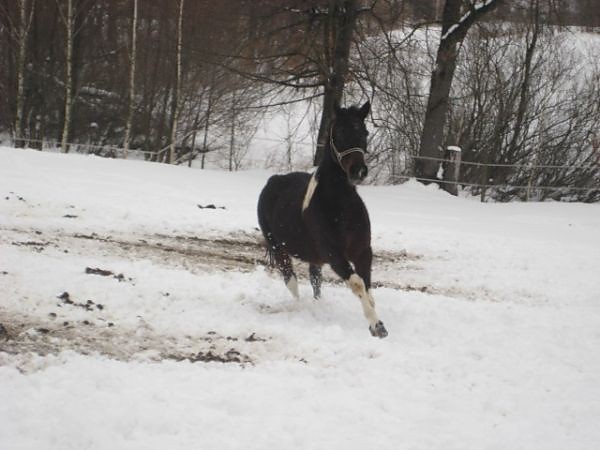 Celinka =*