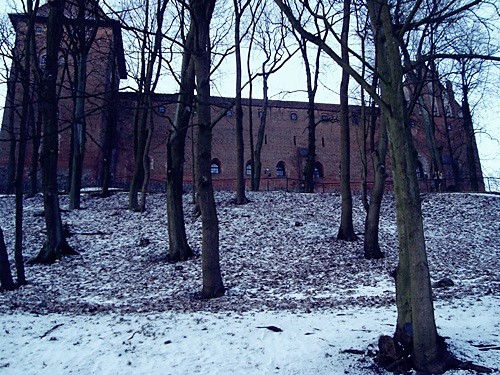 zamek w Nidzicy