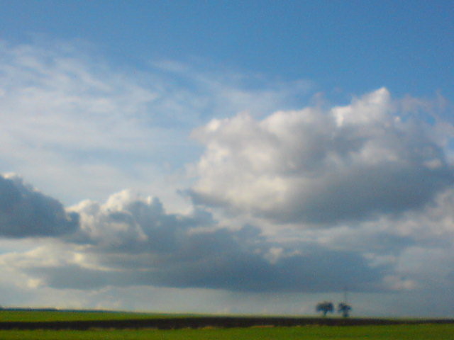 moje ulubione