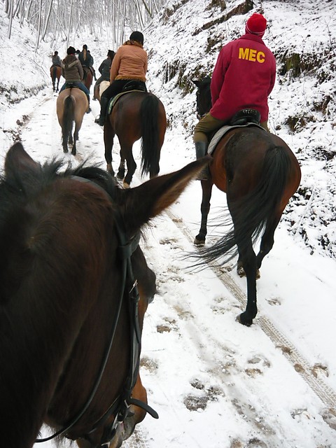 Terenowe