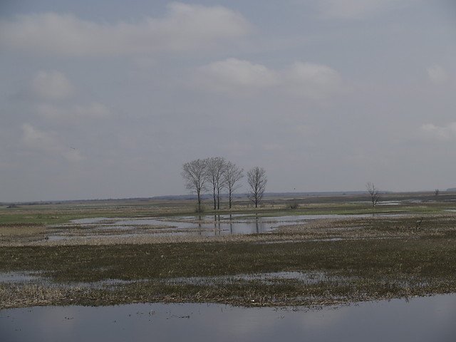 Nocne przemyslenia
