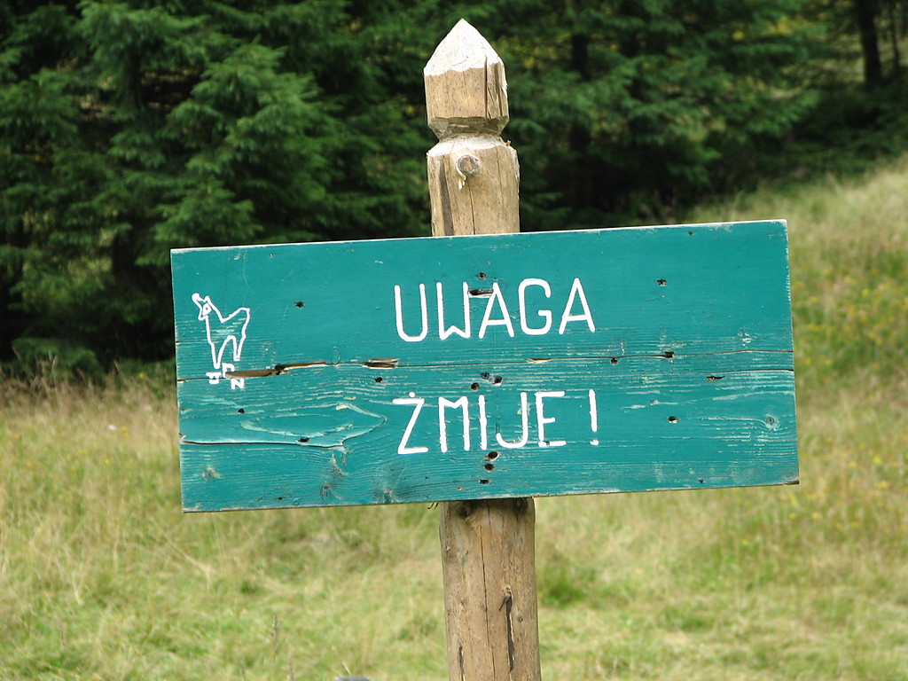 ZMIJE :P:P