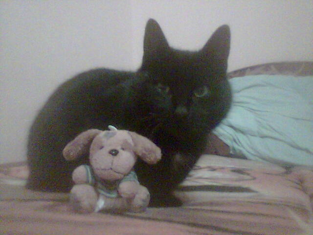 Moja Kochana;*** Pantera;***