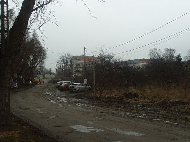ul. Krzywki