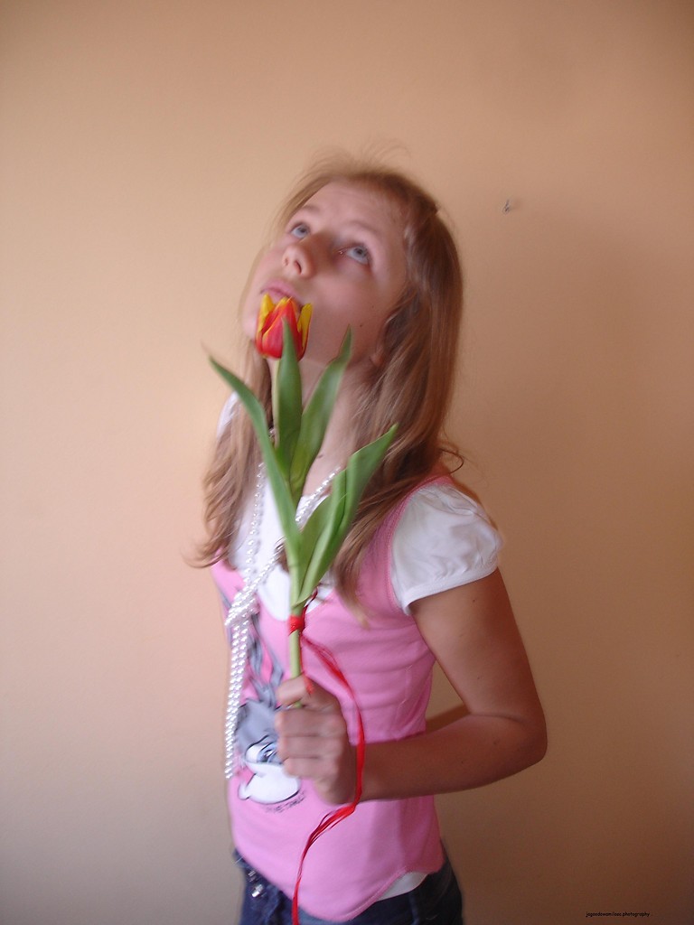 tulipaan . 