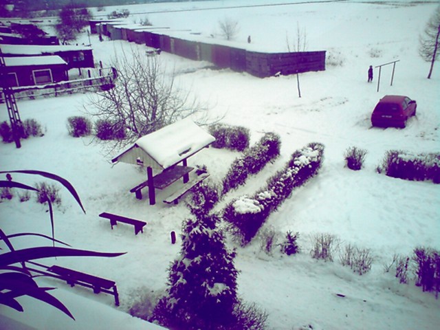 pozimowane :)