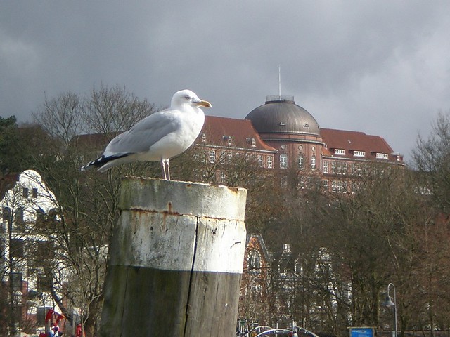 Flensburg