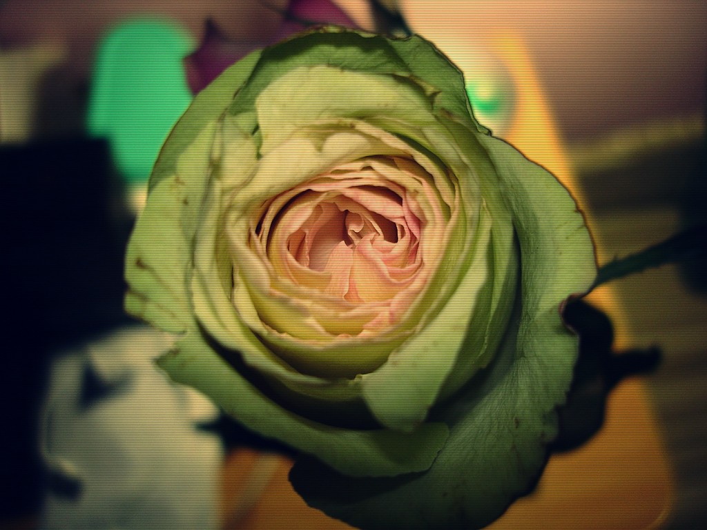 e.