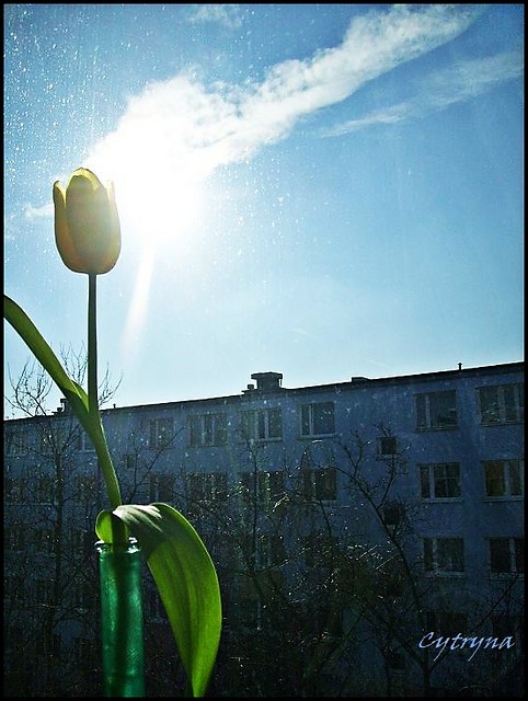 Kfffiatek.