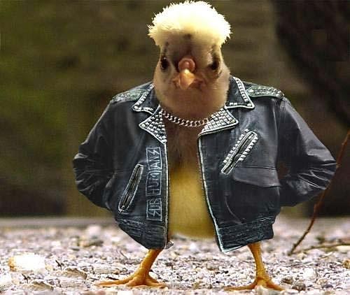 GANGSTA 