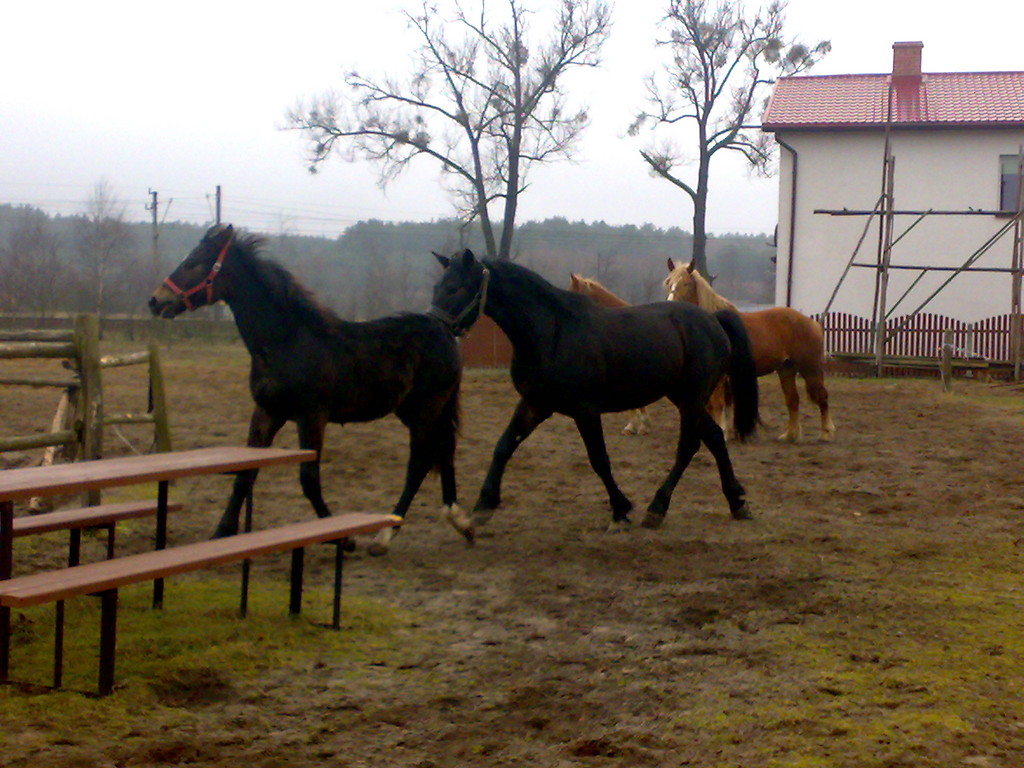 Kaszmir i Ksie