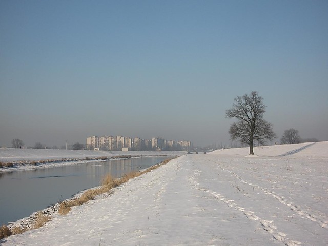 osiedlowisko.