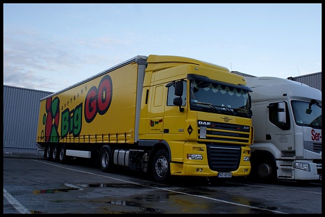Big GO's 050