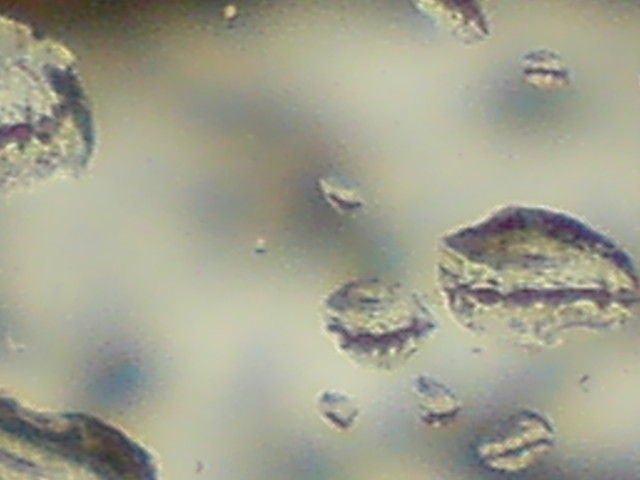 kropelki